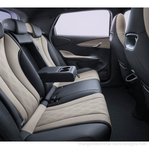 BYD dolphin pure electric vehicle
